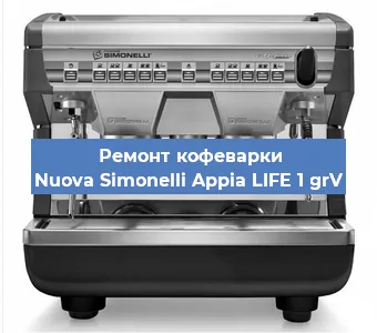 Замена фильтра на кофемашине Nuova Simonelli Appia LIFE 1 grV в Перми